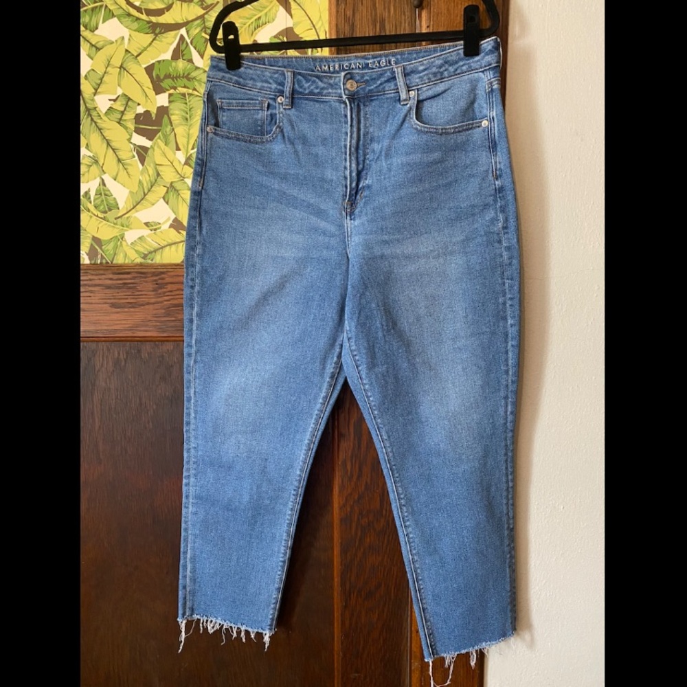 American Eagle Stretch Mom Jean 14